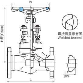 美標鍛鋼截止閥